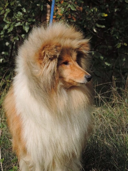 Interview of star de la Passion d'une Vie