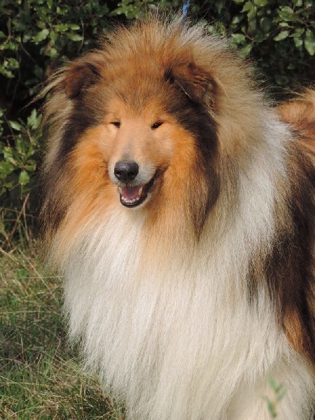 Publication : de la Passion d'une Vie