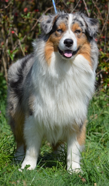 Fuel for life Du clos des duchesses