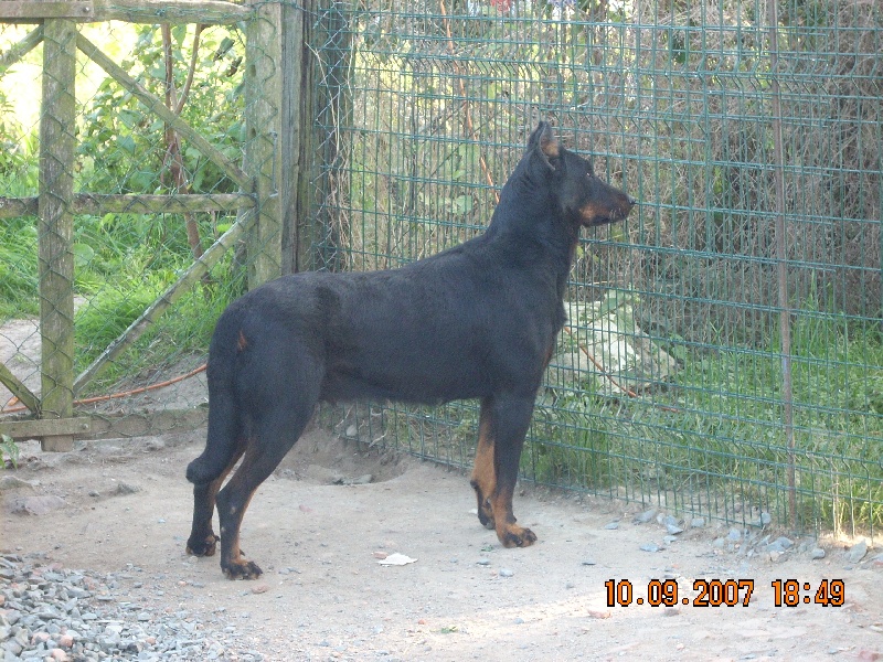 Publication : de la Passion d'une Vie