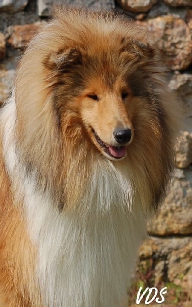 Publication : de la Passion d'une Vie