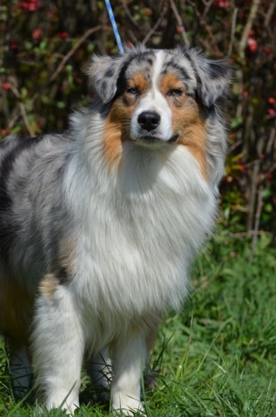 Fuel for life Du clos des duchesses