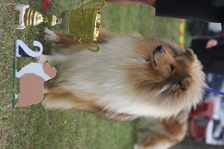 Favorite girl de la Passion d'une Vie