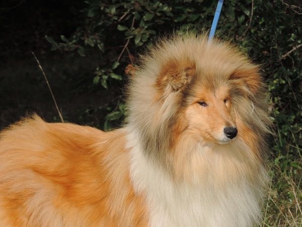 Interview of star de la Passion d'une Vie