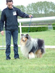 Publication : de la Passion d'une Vie