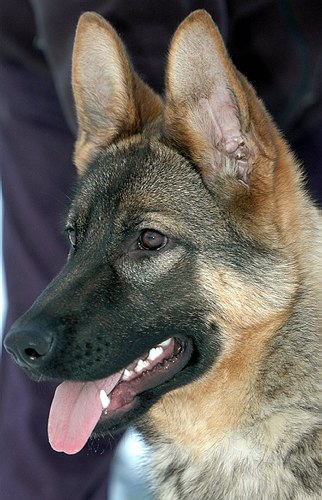 Publication : des Basses Réserves