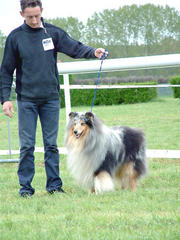 Scott blue Du clos des centaures - 9éme EXC