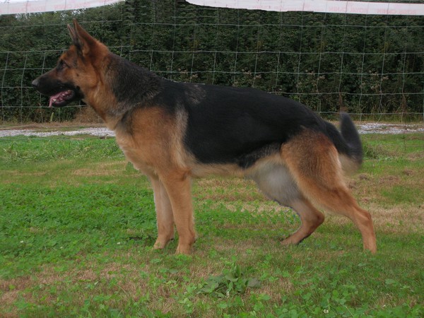 Publication : Euskal herria izarra