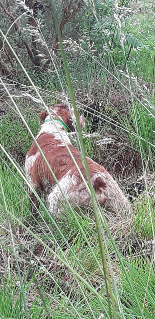 Publication : Des caprices de solmar Auteur : Isabelle