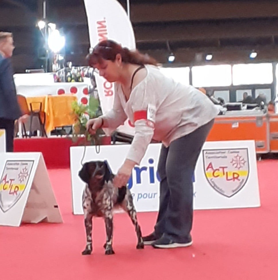 Tcheuky Des caprices de solmar