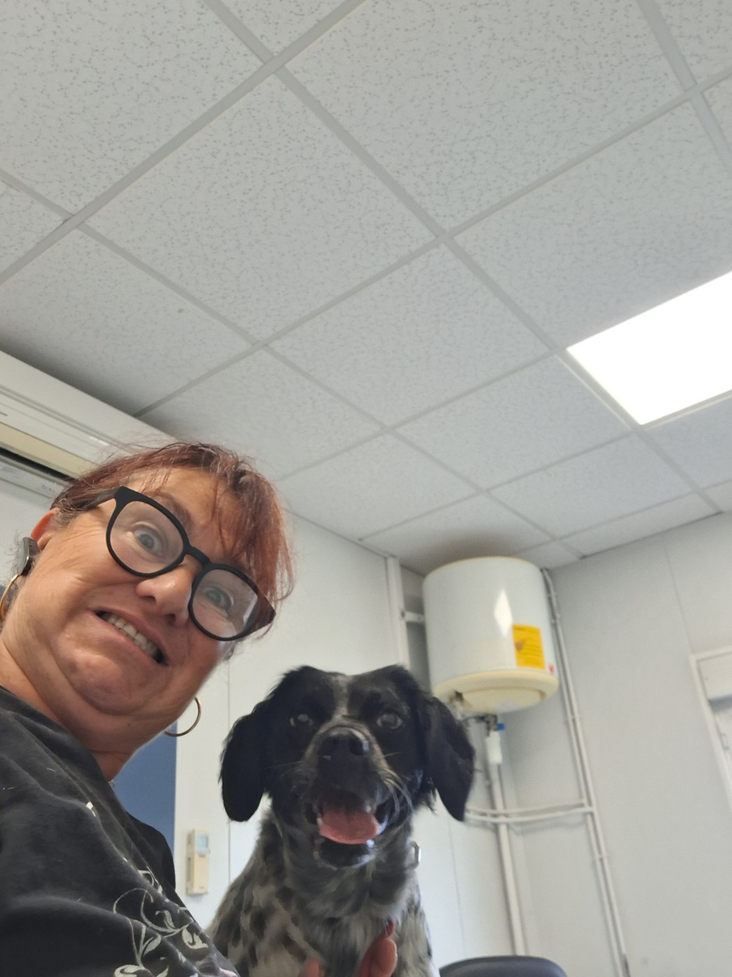 Tcheuky Des caprices de solmar