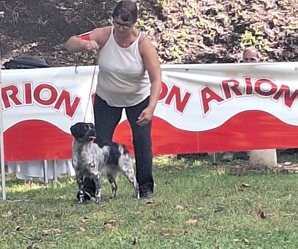 Tcheuky Des caprices de solmar