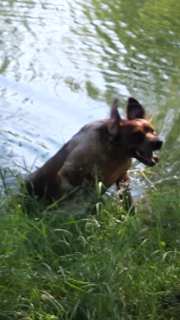 Publication : Des caprices de solmar Auteur : Isabelle