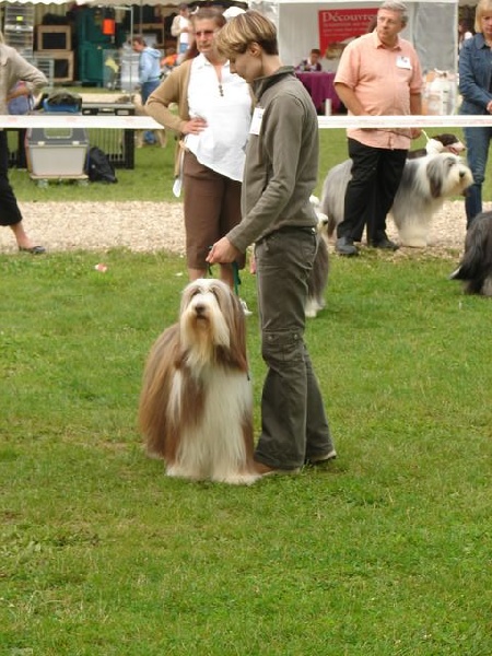 Pillywiggins Unic gold star - 3eme Excellent