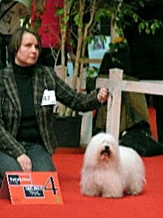 Pillywiggins Suzon - 4eme Excellent