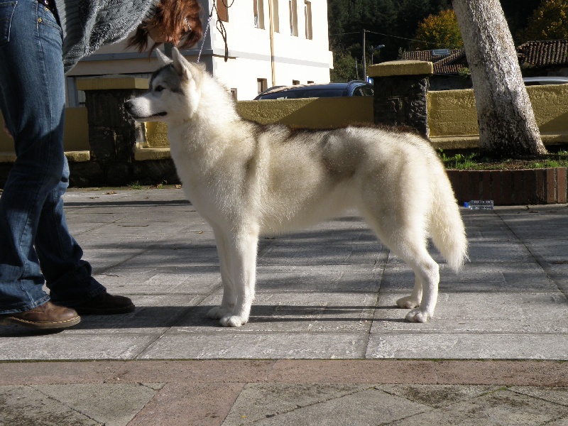 Calamity jane (dite maya) of Artic Ocean - 1° TB (classe Inter)