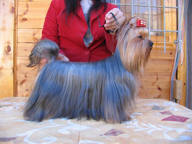 Publication : Horfeo's