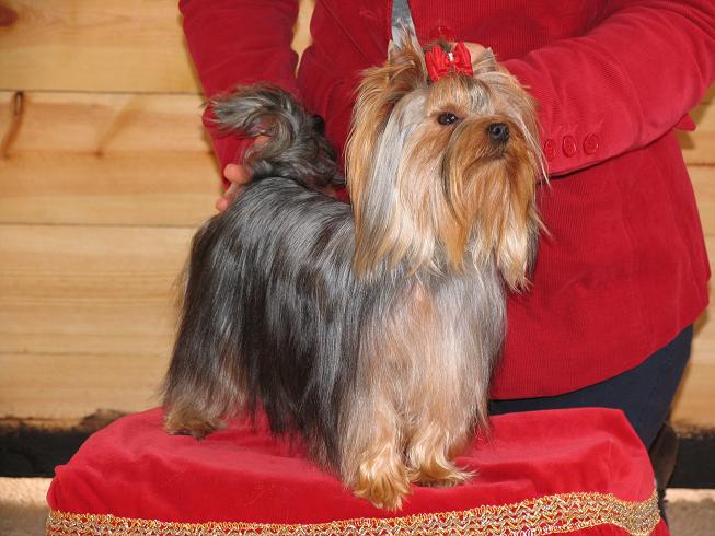 Publication : Horfeo's