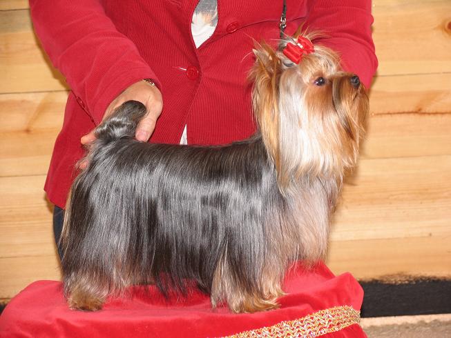 Publication : Horfeo's