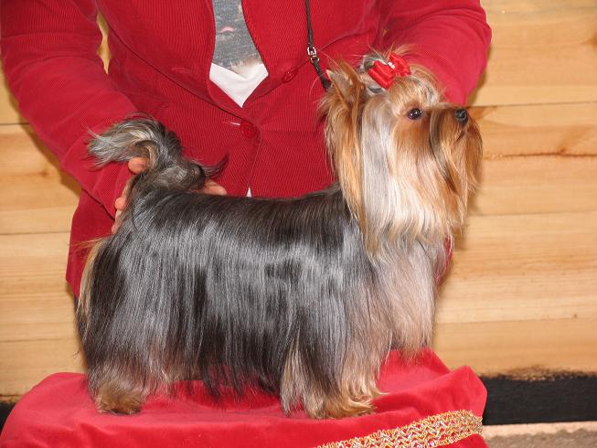 Publication : Horfeo's