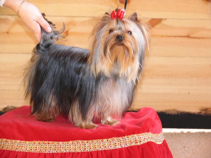 Publication : Horfeo's