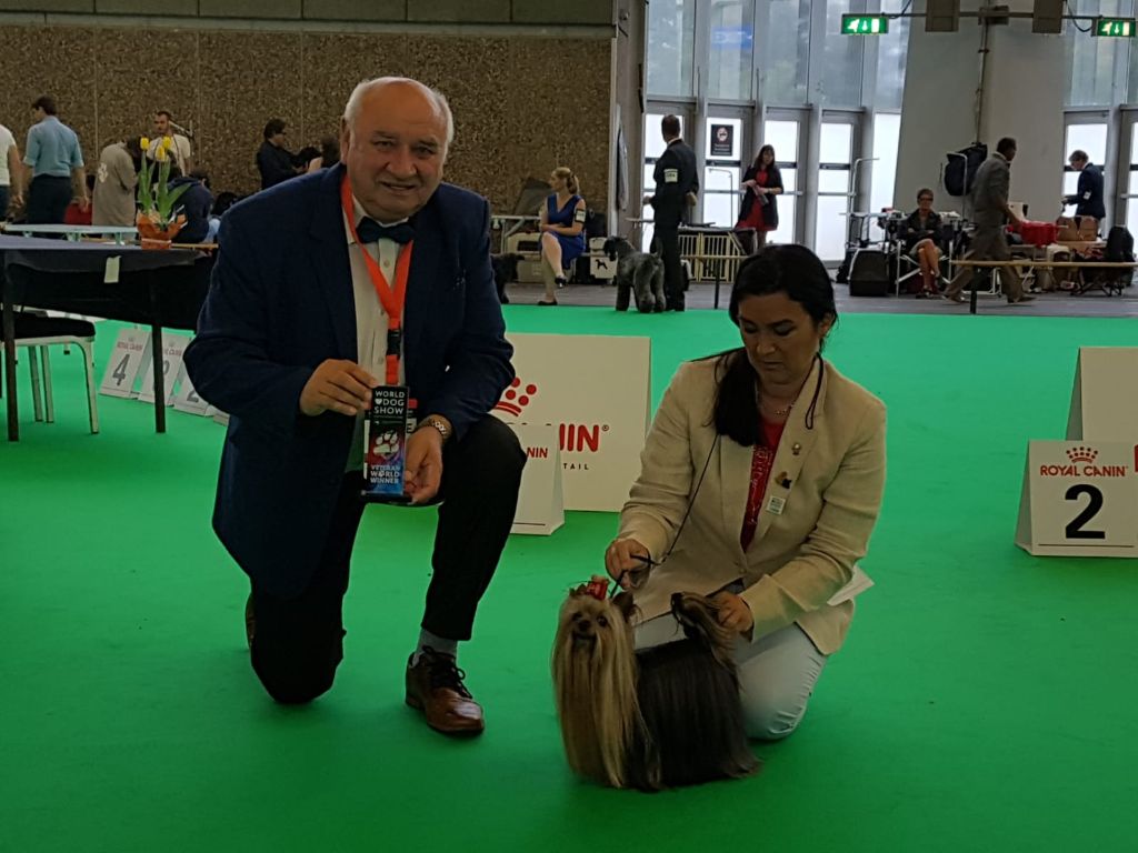 CH. Debonaire's Romantic tour - World Winner Veterane