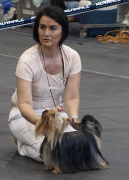 Pretty woman of padawi's - 1º exc. CAC CACIB BOS