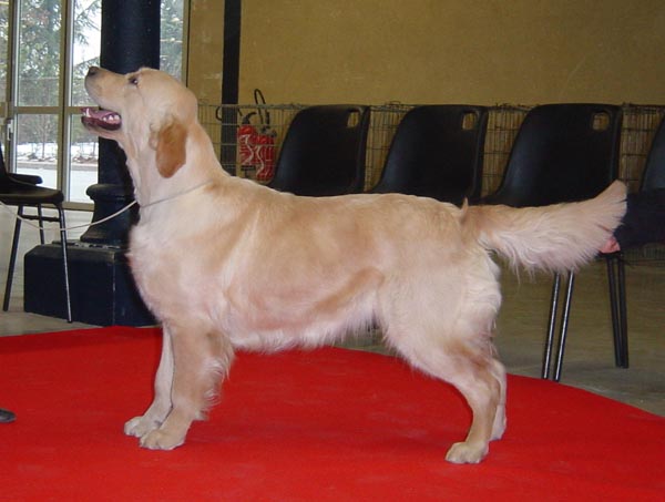 Ashbury Seventh sky -