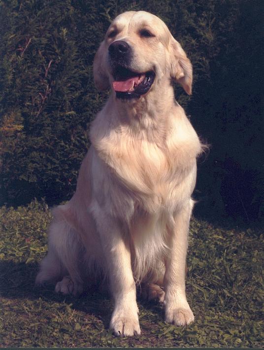 Peace & plenty Ready for romance -