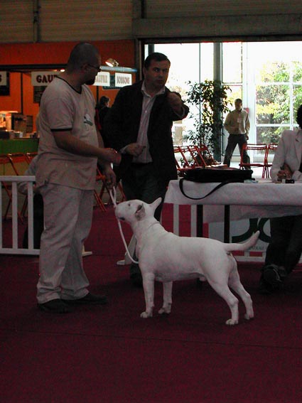 CH. Thud and cuddles That's all right