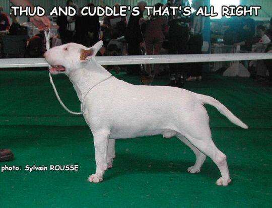 CH. Thud and cuddles That's all right