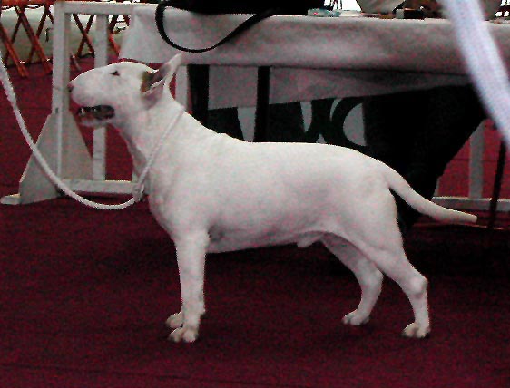 CH. Thud and cuddles That's all right