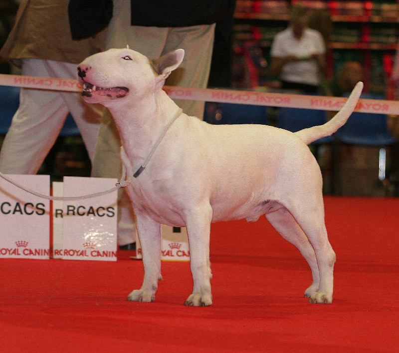 CH. Thud and cuddles That's all right