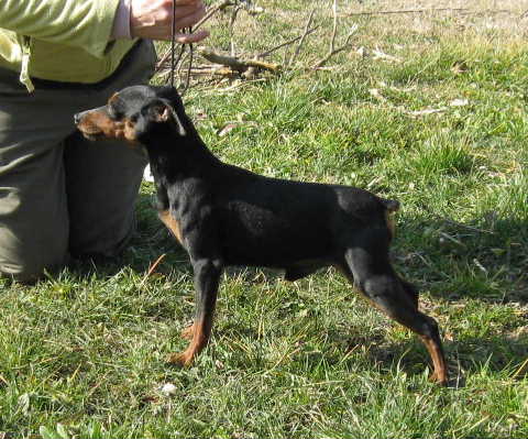 Publication : D'Obreika Auteur : Obreika