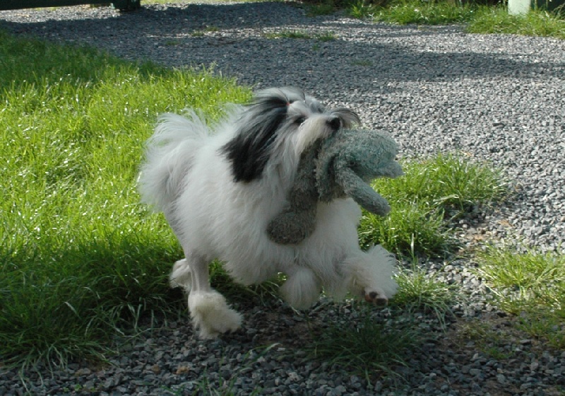 Publication : des P'Tites Obsessions