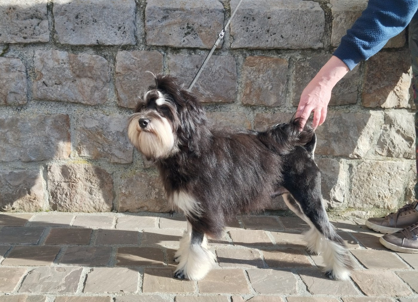 Ambroise des P'Tites Obsessions