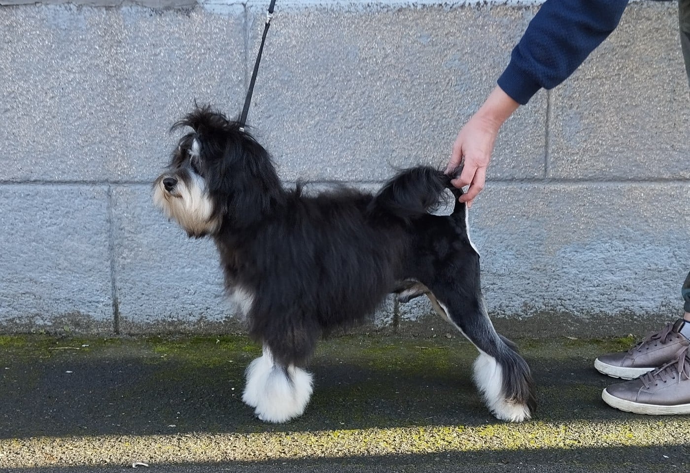 Ambroise des P'Tites Obsessions