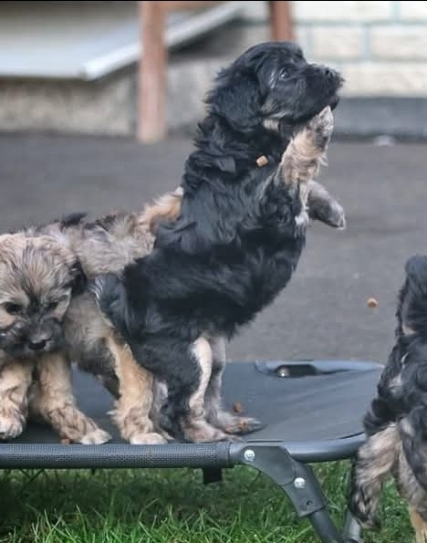 Publication : des P'Tites Obsessions