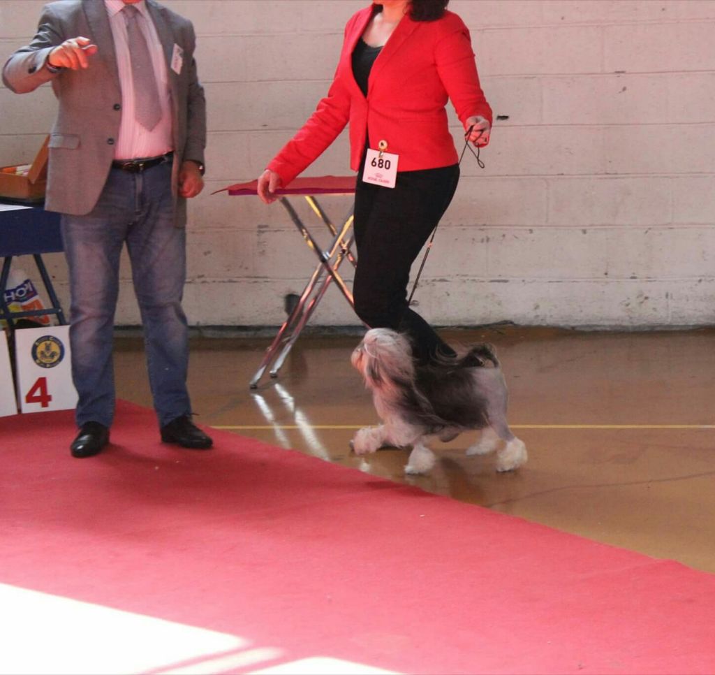 Publication : des P'Tites Obsessions