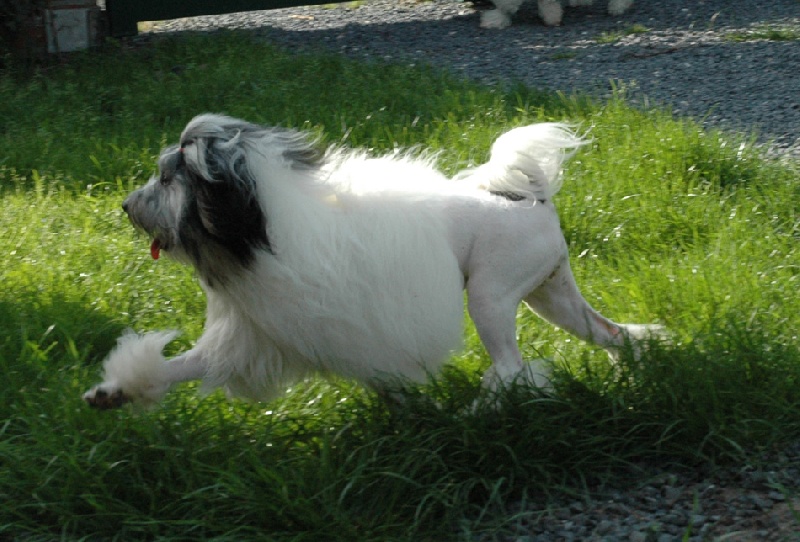 Publication : des P'Tites Obsessions