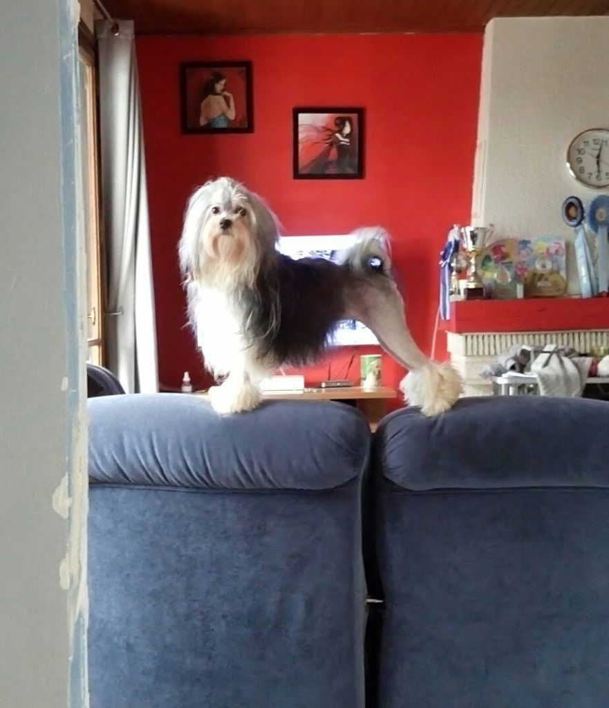 Publication : des P'Tites Obsessions