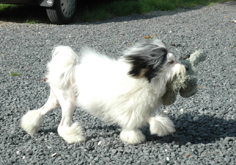 Publication : des P'Tites Obsessions