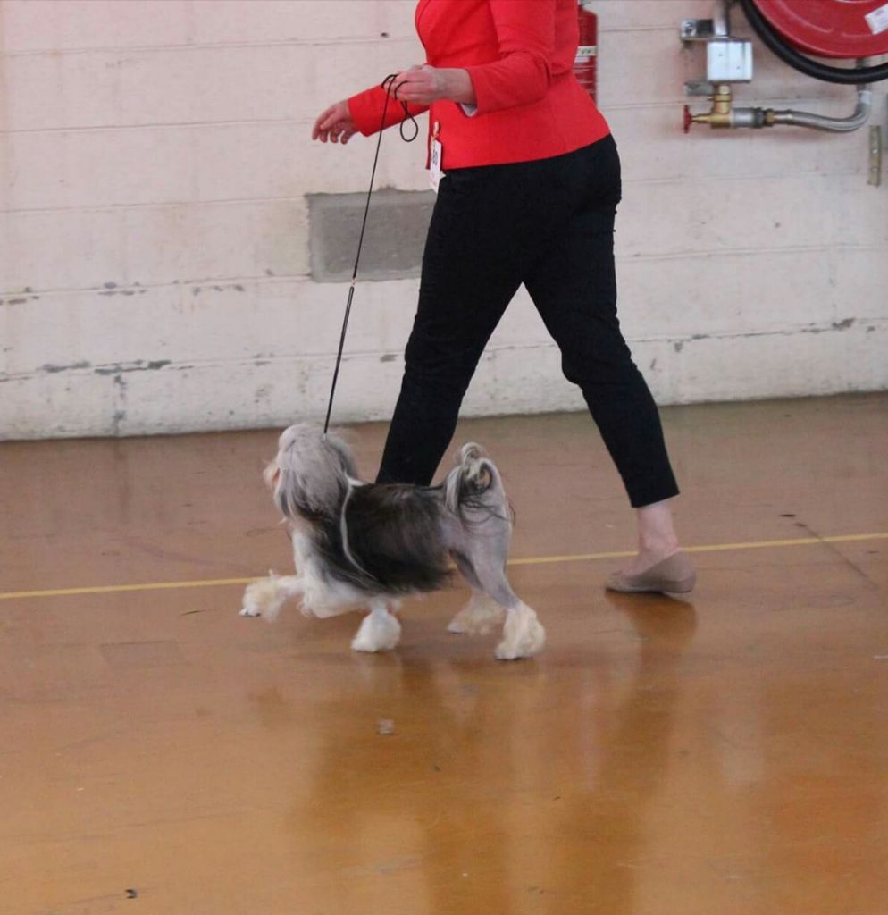 Publication : des P'Tites Obsessions