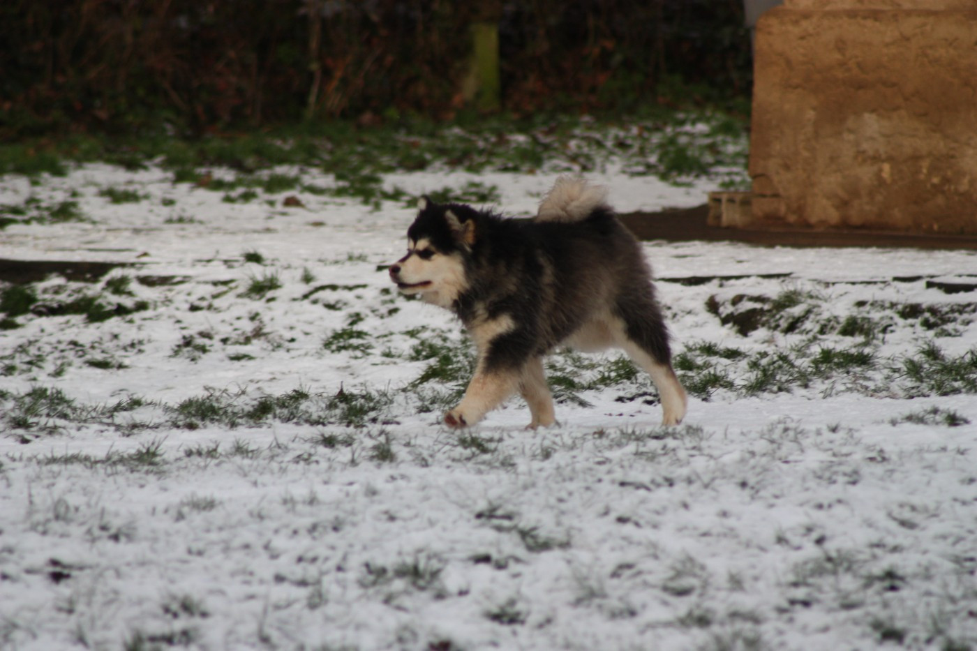 finda Elizabeth swan