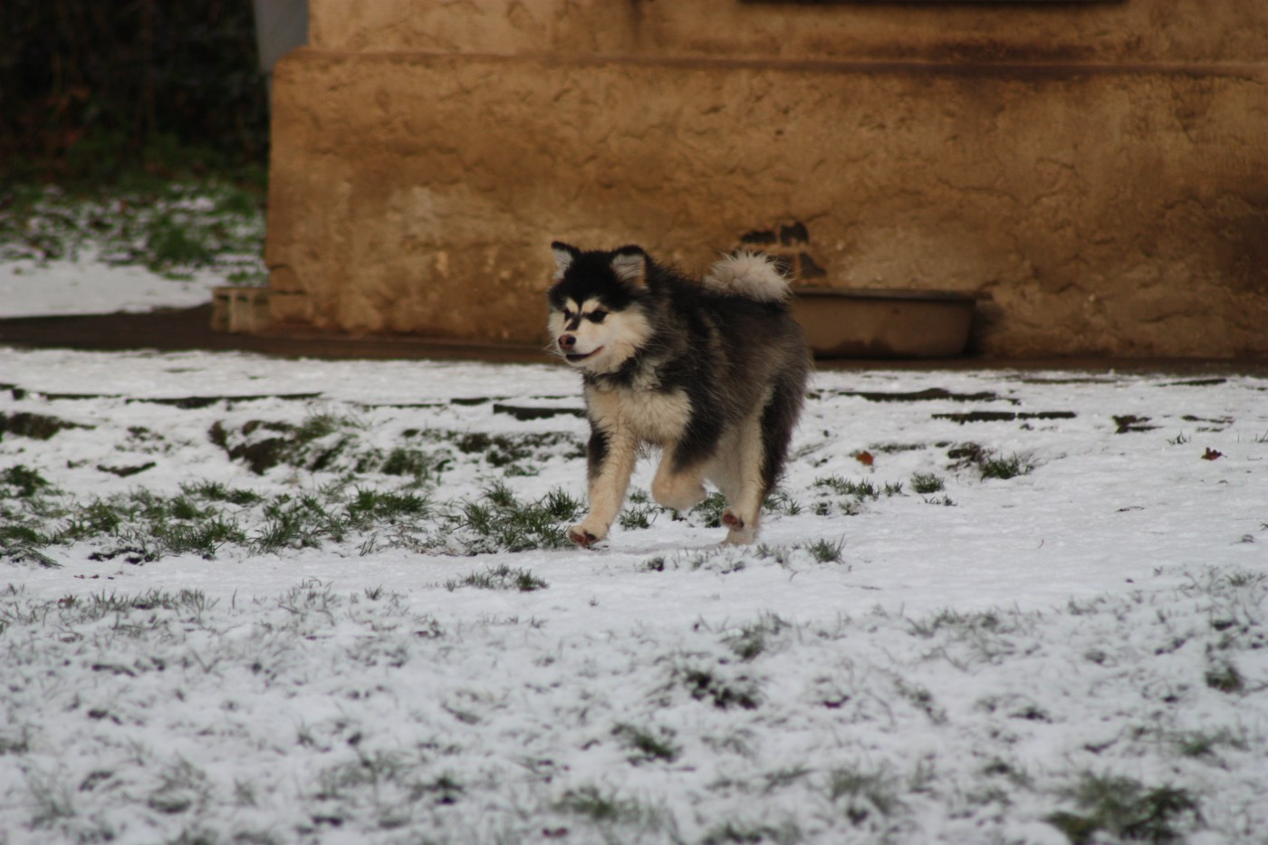 finda Elizabeth swan