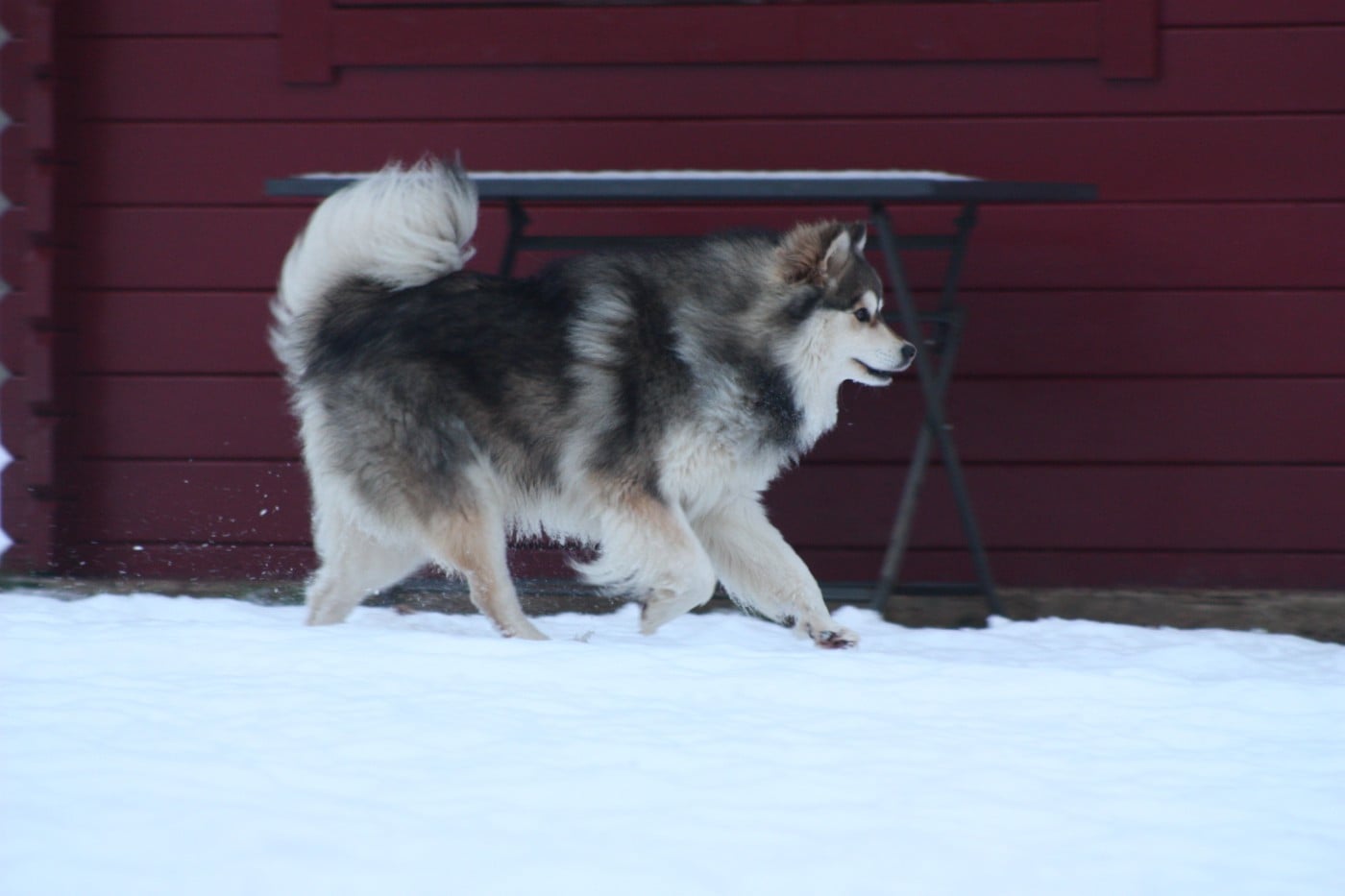 Publication : du Domaine D'Arinella Bianca Auteur : Laurence Legret