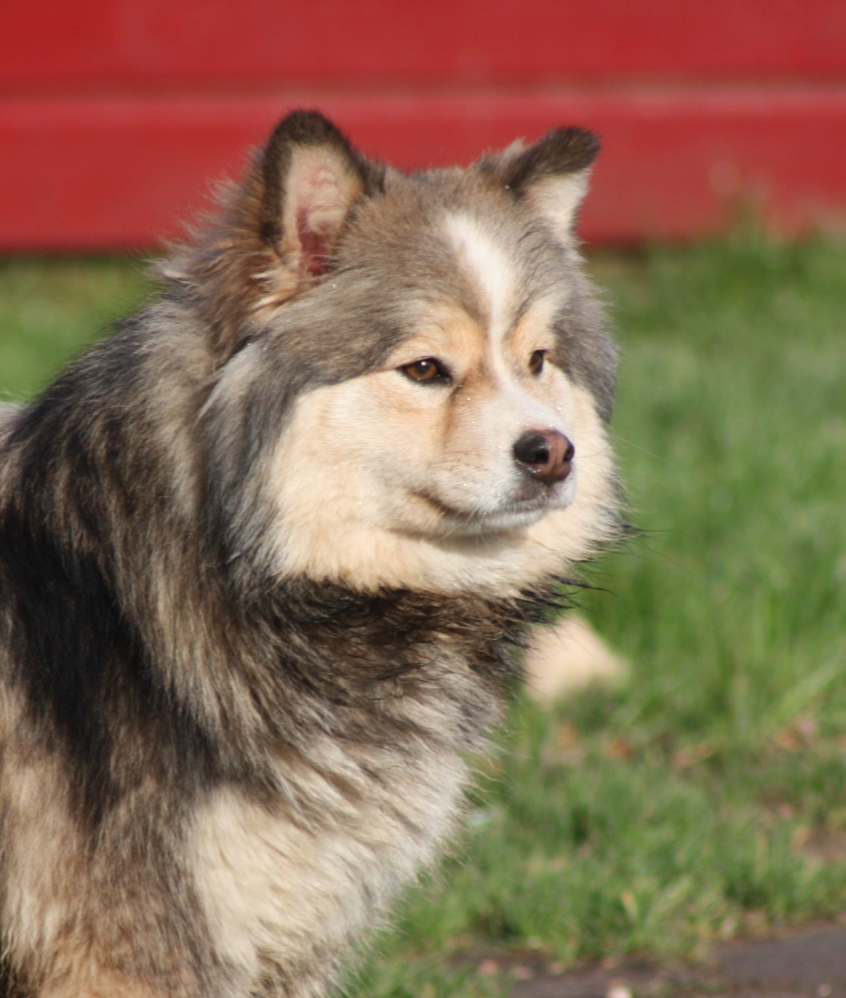 Versace charlotte du Domaine D'Arinella Bianca