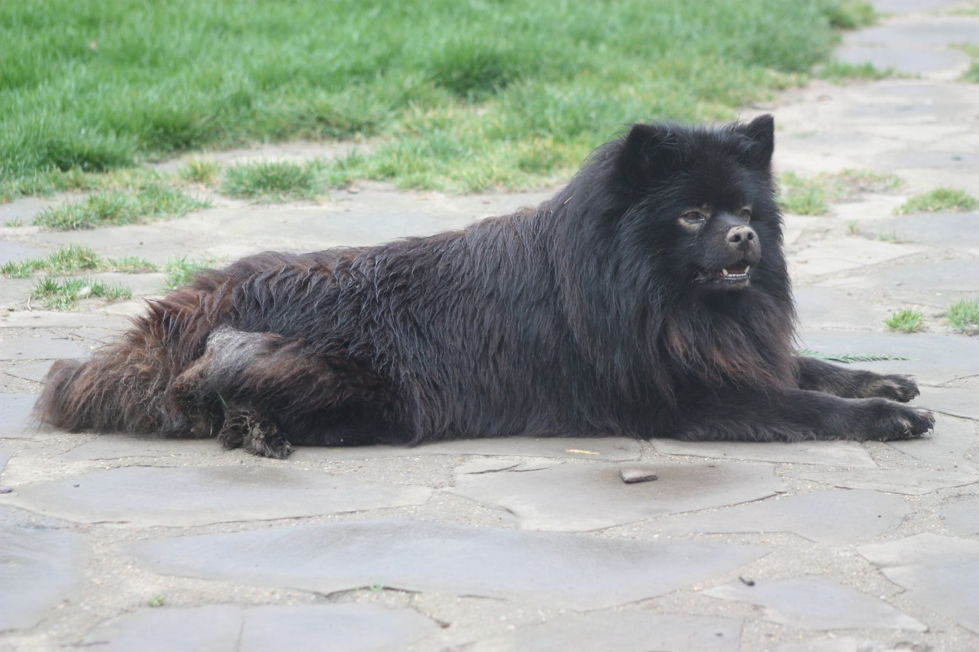 Publication : du Domaine D'Arinella Bianca Auteur : Laurence Legret