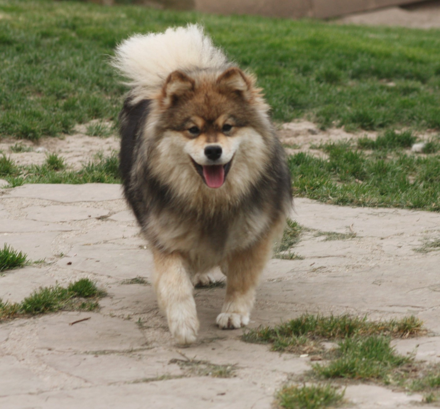 Avatar na'vi du Domaine D'Arinella Bianca