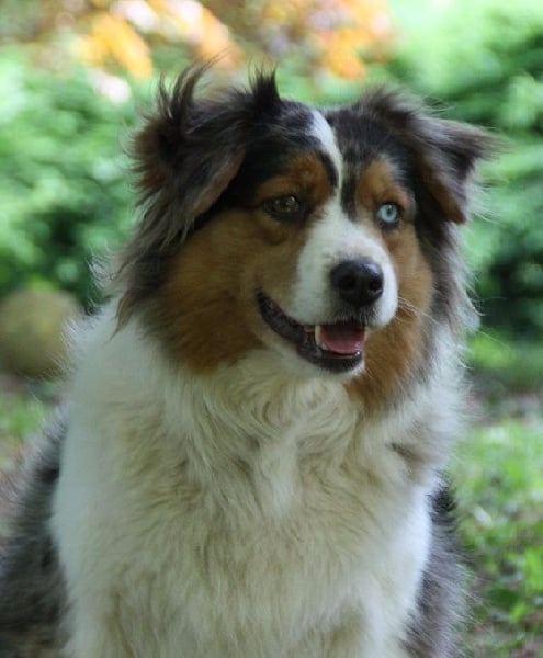 Fbi agent abby sciuto du Domaine D'Arinella Bianca